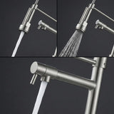 FIVET Pull-Out Kitchen Mixer Tap – Brushed Nickle Dual Function Sink Faucet